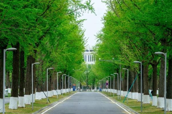 【成电故事】为什么，偏偏和你相遇