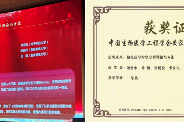 学校脑器交互团队研究成果获“黄家驷生物医学工程奖”一等奖