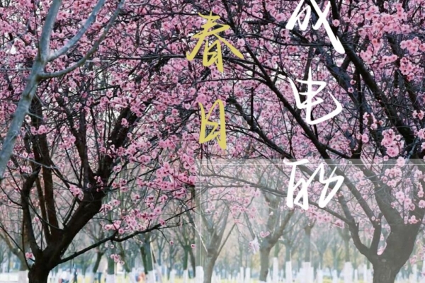 成电的春日，请和我一起去亲身体会